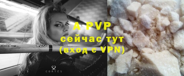 спиды Гусев