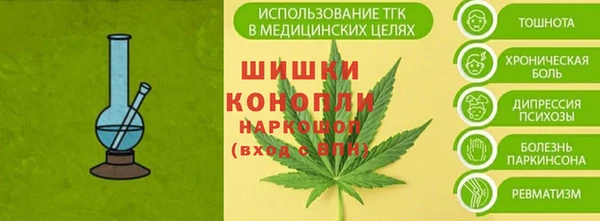 спиды Гусев
