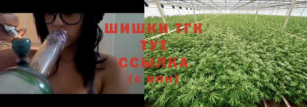 соль ск Гусь-Хрустальный