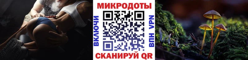 Галлюциногенные грибы Cubensis Заречный