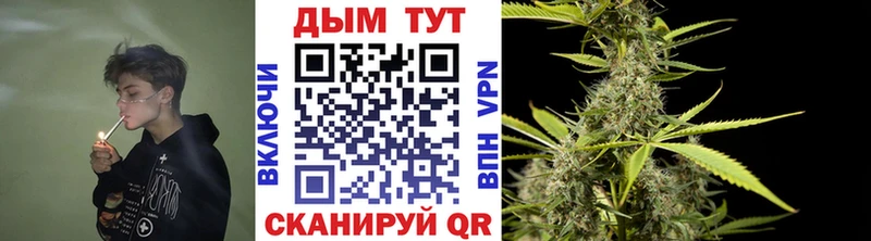 Канабис семена  Заречный 